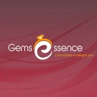 Gems Essence Infotech Pvt Ltd