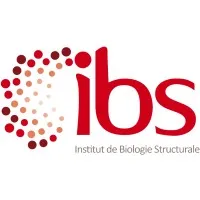 Institut de Biologie Structurale (IBS)
