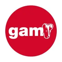 GAM - Solutions