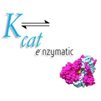 KCAT ENZYMATIC PRIVATE LIMITED