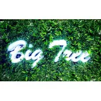Big Tree Resource