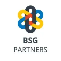 BSG Partners