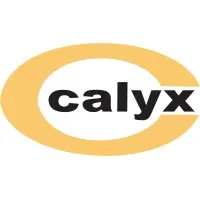 Calyx Chemicals & Pharmaceuticals Limited