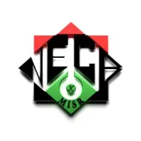 Nile Engineering Consulting Bureau (N.E.C.B.)