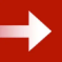 Direct Leadership International