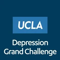 UCLA Depression Grand Challenge