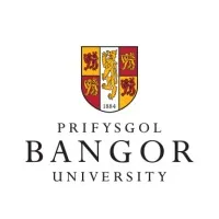 Bangor University  Ion Leadership