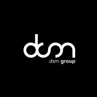 dsm group