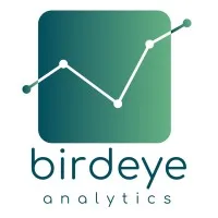 birdeye analytics