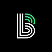 Big Brothers Big Sisters Lone Star