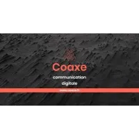 Coaxe communication digitale