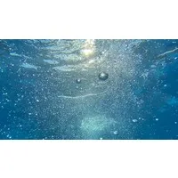 Nien Hsing Texile Co.,Ltd.