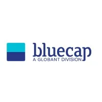 Bluecap Management Consulting
