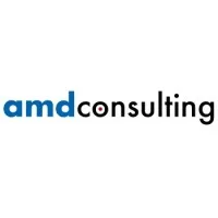 AMD MANAGEMENT CONSULTING LLP