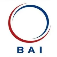 British American Investments