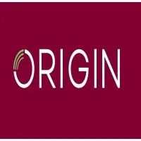 Origin Systems