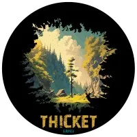Thicket Games Studio