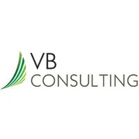 VB Consulting Services