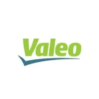 Valeo Friction Materials India