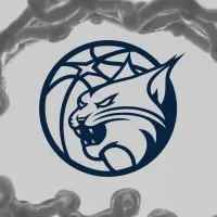 Minnesota Lynx