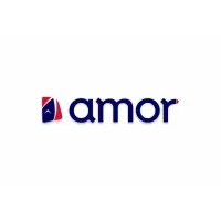 Amor Management Consultants - India’s Premiere Auto Talent Hiring Specialists