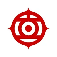 Hitachi Digital Services