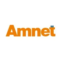 Amnet Systems