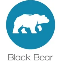 Black Bear Design Group