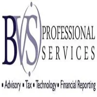 BVS Professional Services