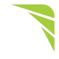 Digital Limelight Media (DLM)