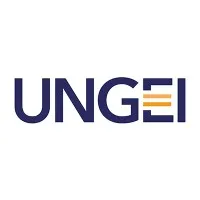 UN Girls' Education Initiative (UNGEI)