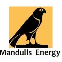 Mandulis Energy & Reparle Ltd