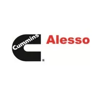Alesso, Cummins
