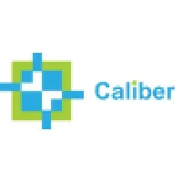 Caliber Embedded Technologies India P Ltd