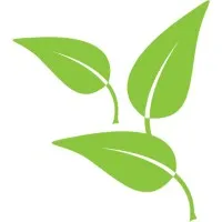 Little Leaves Behavioral Services