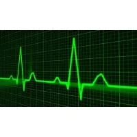 Looking for a new opportunity