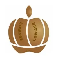 Lowase Management Consulting