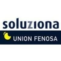 Soluziona Consulting. Unión Fenosa Group.