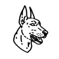 Prefeitura Municipal de Ipatinga