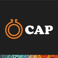 Chemical And Allied Products Plc