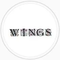 Wings Vintage