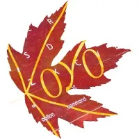 Koyo Software Solutions