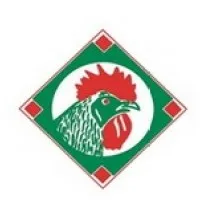 PT. Panca Patriot Prima