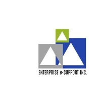 Enterprise e-Support, Inc.