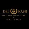 Delkash Associates law firm