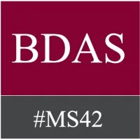 Business and Data Analytics Society