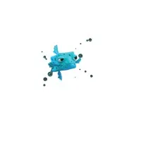 Boxfish TV