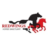 Redwings Horse Sanctuary