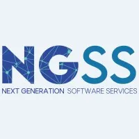 NG Software & Services