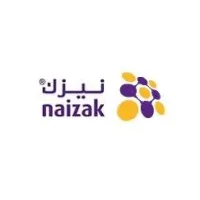 Naizak Global Engineering Systems